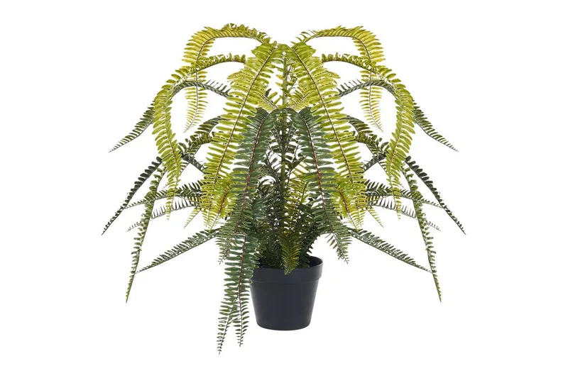 Konstgjord växt Beliani Fern Leaf Plant Green||Black