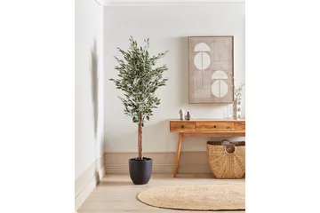 Konstgjord växt Beliani Ficus Green||Black - Interiør - Dekorasjon & innredningsdetaljer - Pyntegjenstander - Blomsterdekorasjon
