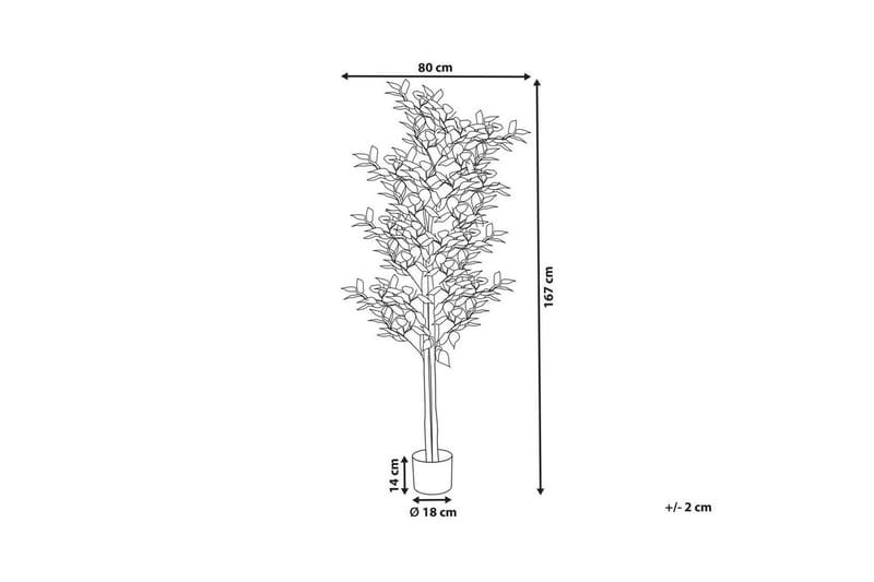 Konstgjord växt Beliani Ficus Green||Black - Interiør - Dekorasjon & innredningsdetaljer - Pyntegjenstander - Blomsterdekorasjon