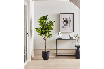 Konstgjord växt Beliani Fig Tree Green||Black - Interiør - Dekorasjon & innredningsdetaljer - Pyntegjenstander - Blomsterdekorasjon