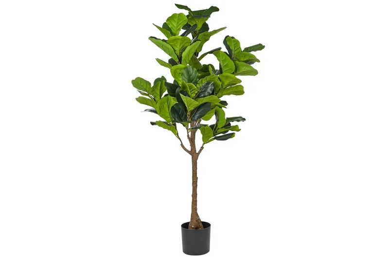 Konstgjord växt Beliani Fig Tree Green||Black - Interiør - Dekorasjon & innredningsdetaljer - Pyntegjenstander - Blomsterdekorasjon