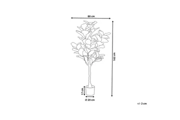 Konstgjord växt Beliani Fig Tree Green||Black - Interiør - Dekorasjon & innredningsdetaljer - Pyntegjenstander - Blomsterdekorasjon