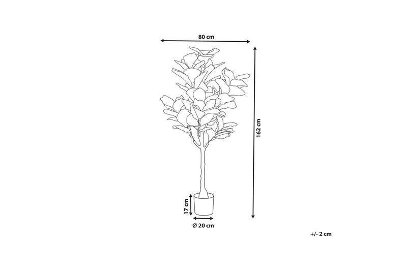 Konstgjord växt Beliani Fig Tree Green||Black - Interiør - Dekorasjon & innredningsdetaljer - Pyntegjenstander - Blomsterdekorasjon