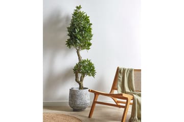 Konstgjord växt Beliani Laurele Green, Black - Interiør - Dekorasjon & innredningsdetaljer - Pyntegjenstander - Blomsterdekorasjon
