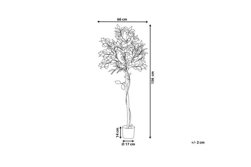 Konstgjord växt Beliani Lemon Tree 66x66x156 cm Green||Black - Interiør - Dekorasjon & innredningsdetaljer - Pyntegjenstander - Blomsterdekorasjon