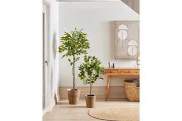 Konstgjord växt Beliani Lemon Tree 66x66x156 cm Green||Black - Interiør - Dekorasjon & innredningsdetaljer - Pyntegjenstander - Blomsterdekorasjon