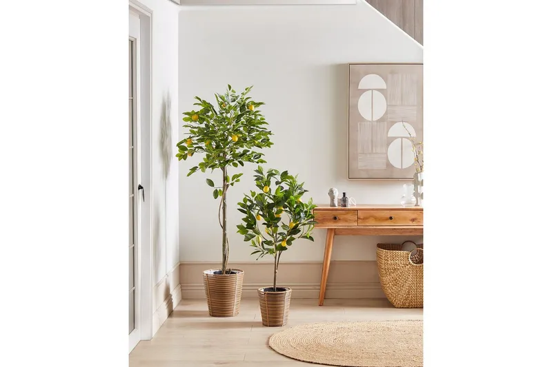 Konstgjord växt Beliani Lemon Tree 66x66x156 cm Green||Black - Interiør - Dekorasjon & innredningsdetaljer - Pyntegjenstander - Blomsterdekorasjon