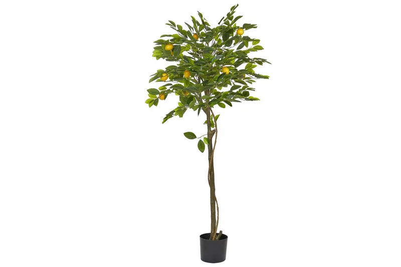 Konstgjord växt Beliani Lemon Tree 66x66x156 cm Green||Black