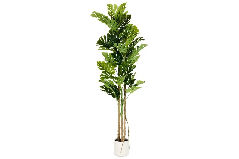 Konstgjord växt Beliani Monstera Plant 71x71x221 cm Green||Black