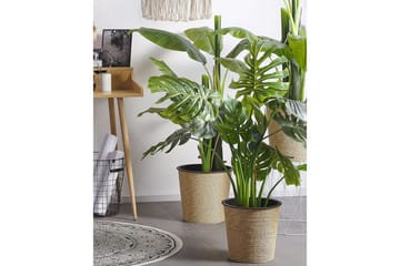 Konstgjord växt Beliani Monstera Plant 12x12x113 cm Green||Black - Interiør - Dekorasjon & innredningsdetaljer - Pyntegjenstander - Blomsterdekorasjon