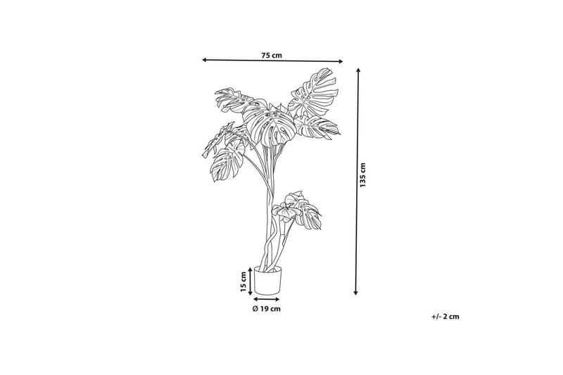 Konstgjord växt Beliani Monstera Plant 75x75x135 cm Green||Black - Interiør - Dekorasjon & innredningsdetaljer - Pyntegjenstander - Blomsterdekorasjon