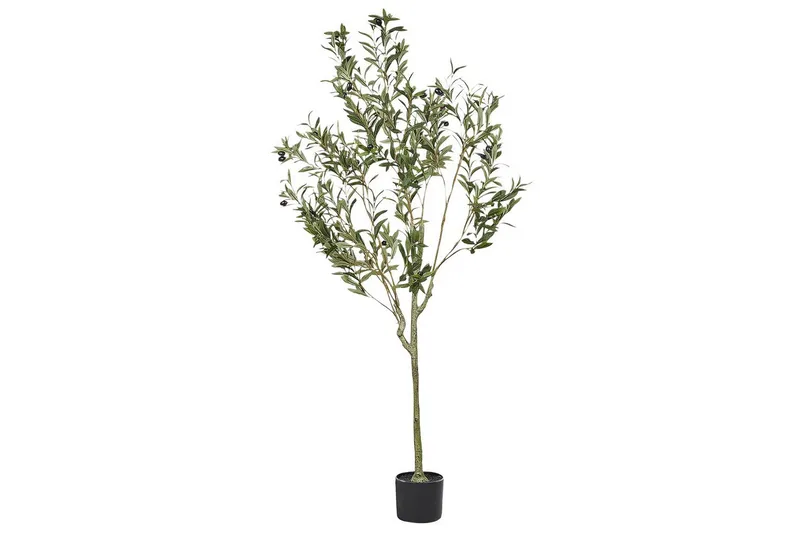 Konstgjord växt Beliani Olive Tree 63x63x153 cm Green||Black