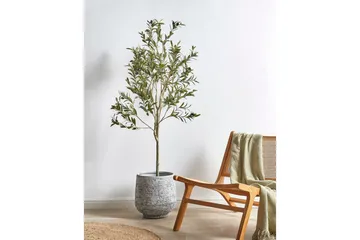 Konstgjord växt Beliani Olive Tree 63x63x153 cm Green||Black - Interiør - Dekorasjon & innredningsdetaljer - Pyntegjenstander - Blomsterdekorasjon