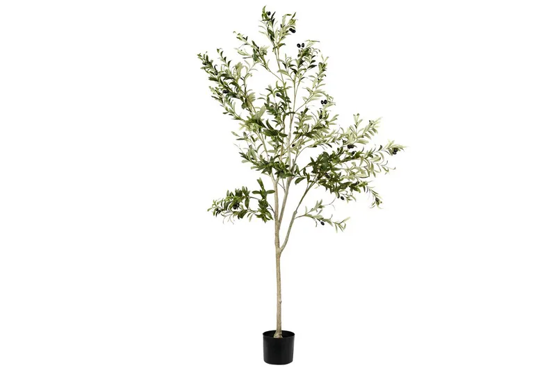 Konstgjord växt Beliani Olive Tree 75x75x178 cm Green||Black