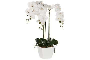 Konstgjord växt Beliani Orchid 22x22x59 cm Green||White - Interiør - Dekorasjon & innredningsdetaljer - Pyntegjenstander - Blomsterdekorasjon