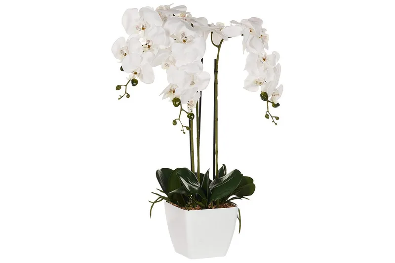 Konstgjord växt Beliani Orchid 22x22x59 cm Green||White - Interiør - Dekorasjon & innredningsdetaljer - Pyntegjenstander - Blomsterdekorasjon