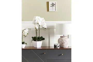 Konstgjord växt Beliani Orchid 22x22x59 cm Green||White - Interiør - Dekorasjon & innredningsdetaljer - Pyntegjenstander - Blomsterdekorasjon