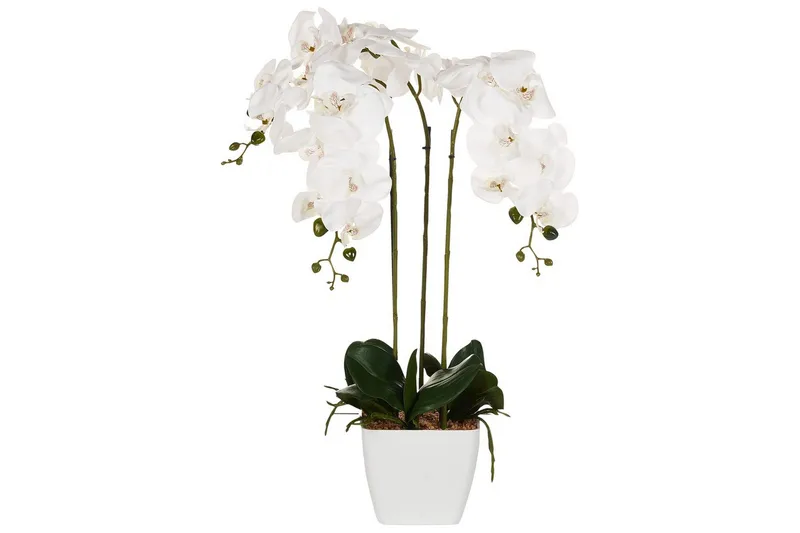 Konstgjord växt Beliani Orchid 22x22x59 cm Green||White