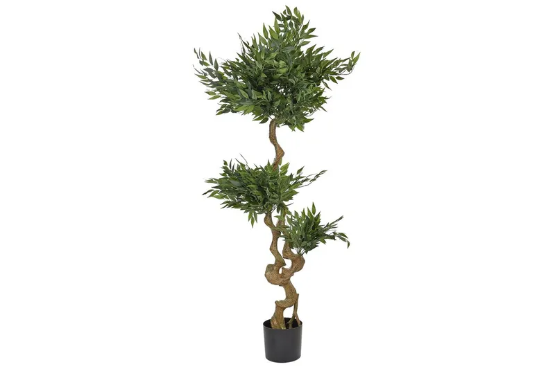 Konstgjord växt Beliani Ruscus Tree Green||Black