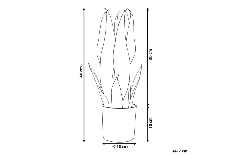 Konstgjord växt Beliani Snake Plant 10x10x40 cm Green||Black - Interiør - Dekorasjon & innredningsdetaljer - Pyntegjenstander - Blomsterdekorasjon