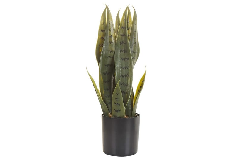 Konstgjord växt Beliani Snake Plant 10x10x40 cm Green||Black - Interiør - Dekorasjon & innredningsdetaljer - Pyntegjenstander - Blomsterdekorasjon