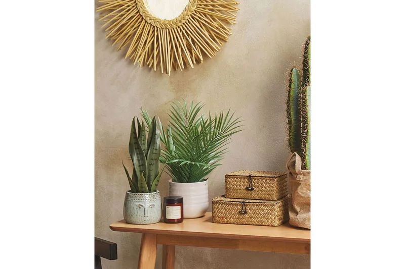 Konstgjord växt Beliani Snake Plant 10x10x40 cm Green||Black - Interiør - Dekorasjon & innredningsdetaljer - Pyntegjenstander - Blomsterdekorasjon