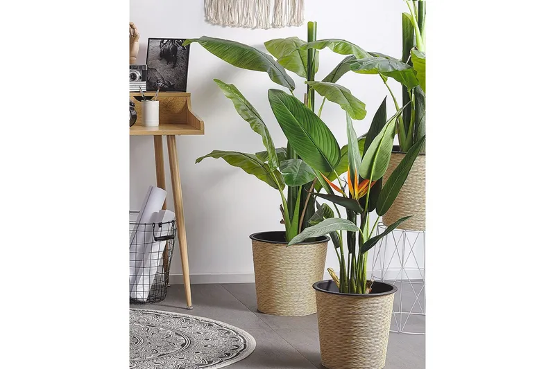 Konstgjord växt Beliani Strelitzia Tree Green||Black||Orange - Interiør - Dekorasjon & innredningsdetaljer - Pyntegjenstander - Blomsterdekorasjon