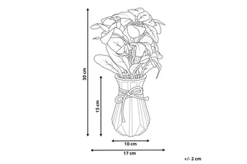 Konstgjord växt Beliani Peperomia Argyreia Green||Black - Interiør - Dekorasjon & innredningsdetaljer - Pyntegjenstander - Blomsterdekorasjon