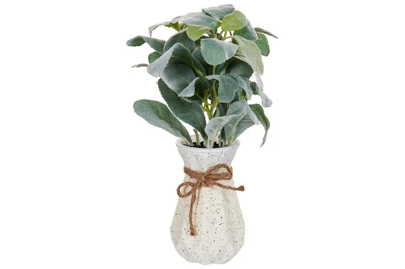 Konstgjord växt Beliani Peperomia Argyreia Green||Black