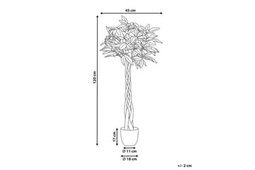 Konstgjord växt Beliani Pachira Tree Green||Black - Interiør - Dekorasjon & innredningsdetaljer - Pyntegjenstander - Blomsterdekorasjon