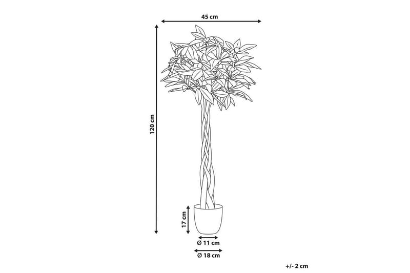 Konstgjord växt Beliani Pachira Tree Green||Black - Interiør - Dekorasjon & innredningsdetaljer - Pyntegjenstander - Blomsterdekorasjon