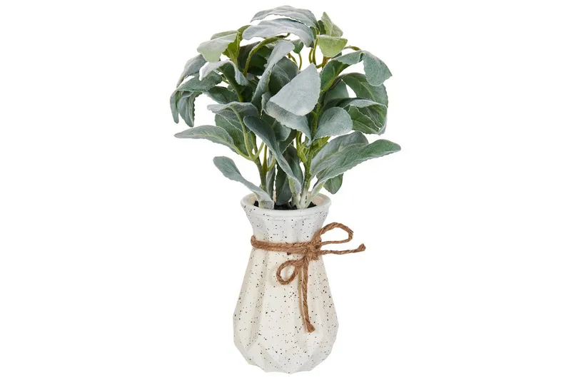 Konstgjord växt Beliani Peperomia Argyreia Green||Black - Interiør - Dekorasjon & innredningsdetaljer - Pyntegjenstander - Blomsterdekorasjon