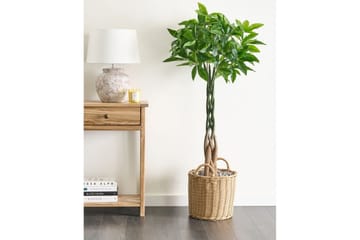 Konstgjord växt Beliani Pachira Tree Green||Black - Interiør - Dekorasjon & innredningsdetaljer - Pyntegjenstander - Blomsterdekorasjon