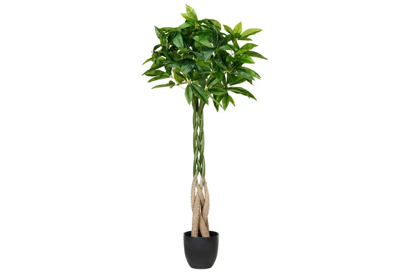 Konstgjord växt Beliani Pachira Tree Green||Black