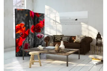 Kadira Rumsavdelare 135x172 cm VALUE_MISSING_1 - Interiør - Dekorasjon & innredningsdetaljer - Romdelere