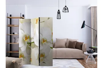 Kadira Rumsavdelare 135x172 cm VALUE_MISSING_1 - Interiør - Dekorasjon & innredningsdetaljer - Romdelere