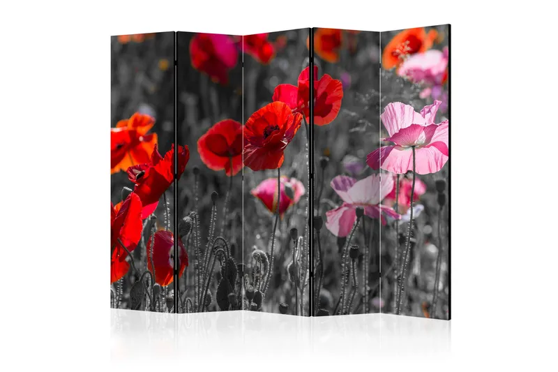 Kadira Rumsavdelare 172x225 cm VALUE_MISSING_1