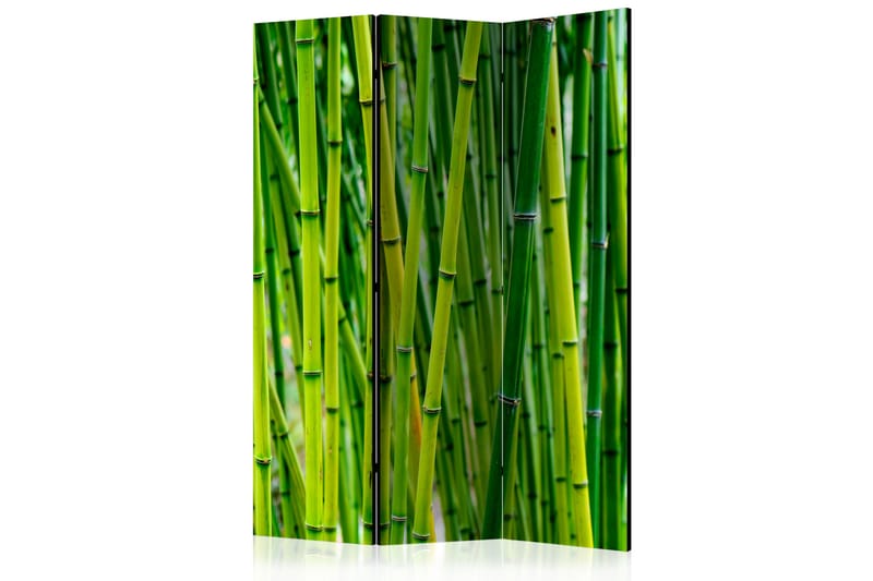 Romdeler Bamboo Forest 135x172 - Artgeist sp. z o. o. - Romdelere - Bretteskjerm