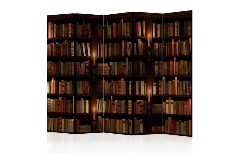 Romdeler - Bookshelves II 225x172 - Artgeist sp. z o. o. - Romdelere - Bretteskjerm