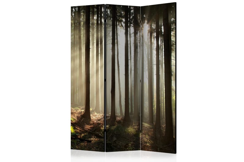 Romdeler Coniferous Forest - Bretteskjerm - Romdelere