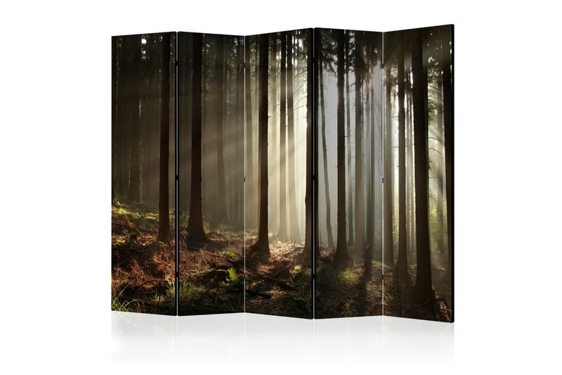 Romdeler Coniferous Forest II - Bretteskjerm - Romdelere
