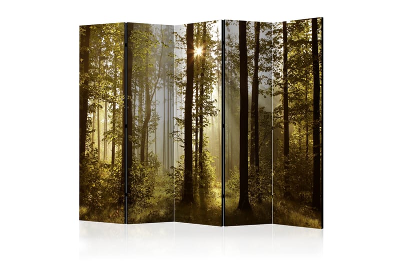Romdeler -Forest Morning Sunlight II 225x172 - Artgeist sp. z o. o. - Romdelere - Bretteskjerm
