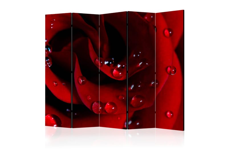 Romdeler - Red rose with water drops II 225x172 - Artgeist sp. z o. o. - Romdelere - Bretteskjerm