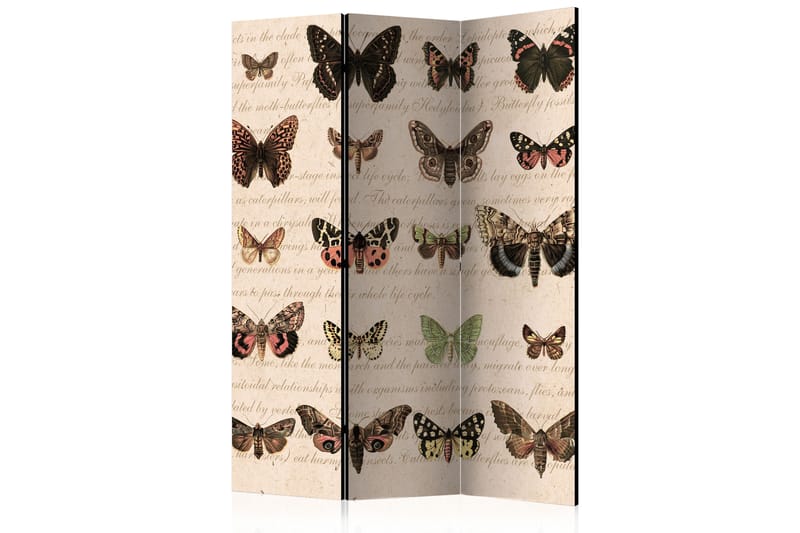 Romdeler Retro Style Butterflies 135x172 - Artgeist sp. z o. o. - Romdelere - Bretteskjerm