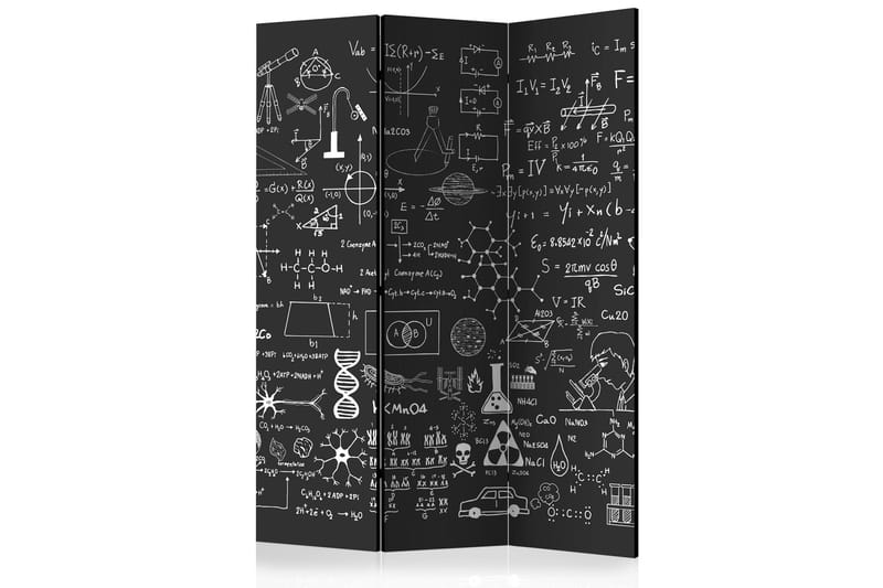 Romdeler - Science on Chalkboard 135x172 - Artgeist sp. z o. o. - Romdelere - Bretteskjerm