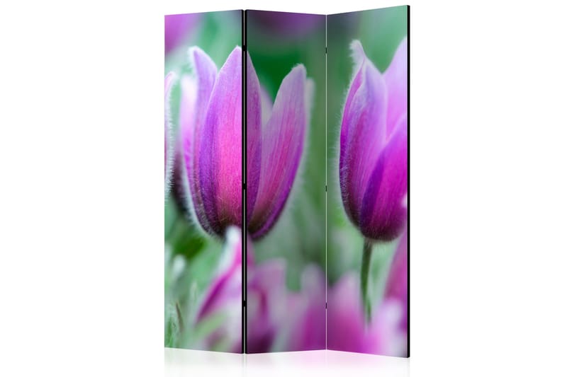 Romdeler Purple Spring Tulips - Artgeist sp. z o. o. - Romdelere - Bretteskjerm