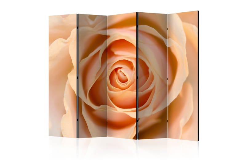 Romdeler - Peach Colored Rose II 225x172 - Artgeist sp. z o. o. - Romdelere - Bretteskjerm