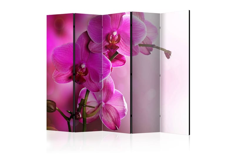 Romdeler - Pink Orchid II 225x172 - Artgeist sp. z o. o. - Bretteskjerm - Romdelere