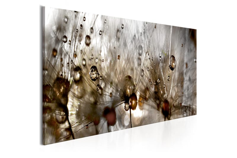 Bilde Drops Of Water 135x45 - Lerretsbilder
