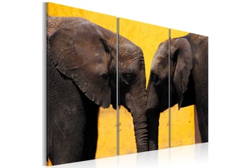 Bilde Elephant kiss 90x60